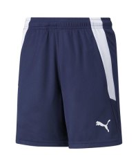 PUMA/プーマ PUMA TEAMLIGA トレーニングショーツ JR/508249875
