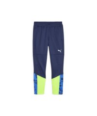 PUMA/プーマ PUMA INDIVIDUALCUP TR パンツ JR/508249886