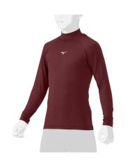 MIZUNO/ジュニア・ハイネック・長袖/508250138
