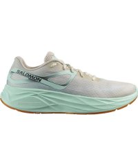 SALOMON/サロモン SALOMON AERO GLIDE/508251866