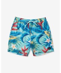 Hurley/ハーレー Hurley M CANNONBALL VOLLEY 17 【返品不可商品】/508252915