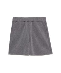 sanideiz TOKYO/サニデイズ トウキョウ sanideiz TOKYO テックスウェット ハーフパンツLADIES/508253274