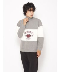 sanideiz TOKYO/サニデイズ トウキョウ sanideiz TOKYO ENJOY IT RUGBY ハーフジップスウェット UNISEX/508253411