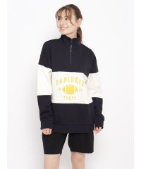 sanideiz TOKYO/サニデイズ トウキョウ sanideiz TOKYO ENJOY IT RUGBY ハーフジップスウェット UNISEX/508253413