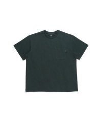 TARAS BOULBA/タラスブルバ TARAS BOULBA ヘビーコットン ポケットTシャツ (トラ)/508253678