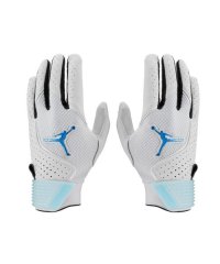 JORDAN BRAND/ジョーダン ブランド JORDAN BRAND ジョーダン フライエリート バッティンググローブ/508253825