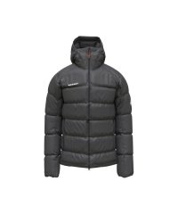 MAMMUT/マムート MAMMUT Taiss Pro IN Hooded Jacket AF Men/508254270