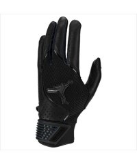 JORDAN BRAND/ジョーダン ブランド JORDAN BRAND ジョーダン フライ エリート バッティンググローブ/508254447