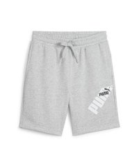 PUMA/プーマ PUMA PUMA POWER グラフィック 9 スウェッ/508255433