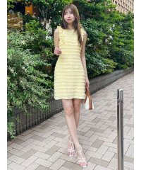 SNIDEL/カットレースミニワンピース/508256900
