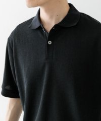 ITEMS URBAN RESEARCH/クレープジョーゼットポロシャツ/508260901