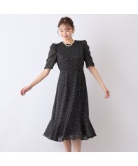 Liliane Burty ECLAT/【S・Mサイズ】ウォッシャブル　シフォンカットジャカードワンピース/508262464