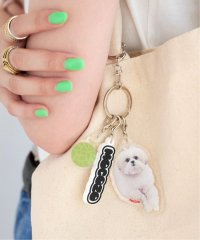 B.C STOCK/【WEB＋一部店舗限定】モコゾウ キーホルダー/508264989