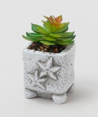 KAHIKO/カヒコ Kahiko フェイクプランツS/508267247