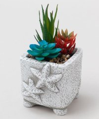 KAHIKO/カヒコ Kahiko フェイクプランツM/508267248