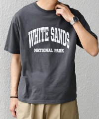 SHIPS any MEN/SHIPS any: NATIONAL PARK ヴィンテージライク プリント Tシャツ◆/508270763