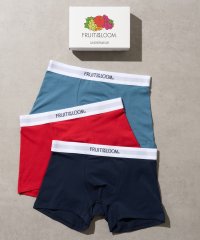FRUIT OF THE LOOM/フルーツオブザルーム FRUIT OF THE LOOM 無地ボクサーパンツ3PセットBOX 14805800【返品不可商品】/508278473