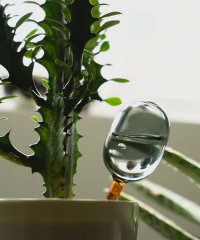 collex/【amabro/アマブロ】 TWO TONE WATER DISPENSER ウ/508279826