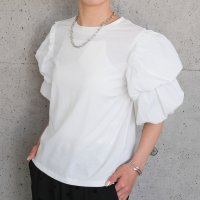 aquagarage/アクアガレージ aquagarage ダブルフリル袖異素材カットソー 春 夏/508279891