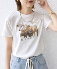 SHIPS WOMEN/《予約》【SHIPS別注】ACASAM: フォト TEE/508285878