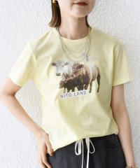 SHIPS WOMEN/《予約》【SHIPS別注】ACASAM: フォト TEE/508285878