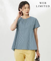 J.PRESS LADIES/【WEB限定・洗える】ストライプジャージー フレア カットソー/508284047