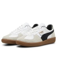 DRESSTERIOR/PUMA（プーマ）パレルモ LTH/508285949