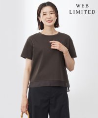J.PRESS LADIES/【WEB限定カラーあり・洗える】コットンスムース シアーデザイン カットソー/508287310