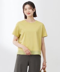 J.PRESS LADIES/【WEB限定カラーあり・洗える】コットンスムース シアーデザイン カットソー/508287310