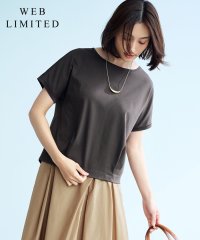 J.PRESS LADIES/【WEB限定カラーあり・洗える】コットンスムース フレンチスリーブ カットソー/508294121