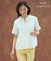 J.PRESS LADIES/【WEB限定カラーあり・洗える】シアーチェック カットソー/508294123
