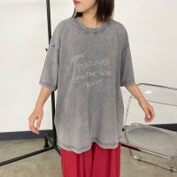 CRB/シーアールビー CRB ピグメントロゴTシャツ/508294786