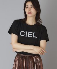 DRESSTERIOR/クリア天竺チュールCIELロゴTシャツ/508294380