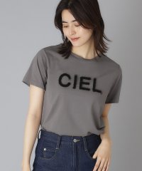 DRESSTERIOR/クリア天竺チュールCIELロゴTシャツ/508294380