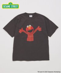 JOURNAL STANDARD/《追加予約》セサミストリート meets JOURNAL STANDARD 別注プリントTシャツ/508296559
