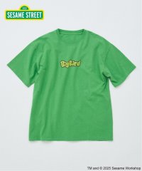 JOURNAL STANDARD/《追加予約》セサミストリート meets JOURNAL STANDARD 別注プリントTシャツ/508296559