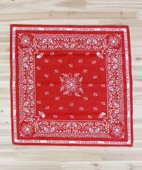 THE NORTH FACE/ザ・ノース・フェイス THE NORTH FACE バンダナ ペーズリー 80年 BANDANA_PAISLEY_80'S 韓国限定ライン メンズ ブランド レ/508312271