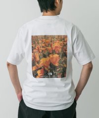 URBAN RESEARCH DOORS/THE NORTH FACE　Short－Sleeve FDPixelPlantCottonTee/508317753