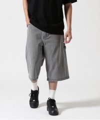 AVIREX/ＤＳ　ＶＡＲＳＩＴＹ　ＰＡＩＮＴＥＲ　ＳＨＯＲＴＳ/508319317