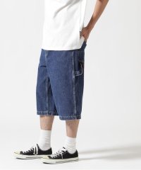 AVIREX/ＤＳ　ＶＡＲＳＩＴＹ　ＰＡＩＮＴＥＲ　ＳＨＯＲＴＳ/508319317