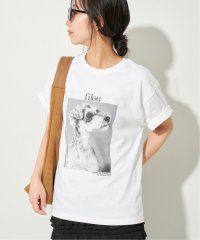 SLOBE IENA/《予約》DOG&CAT PHOTO TEE/508319381