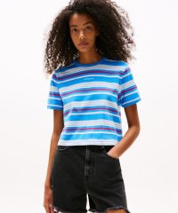 TOMMY HILFIGER/トミー ヒルフィガー TOMMY HILFIGER レギュラースクリプトボーダーTシャツ/508319593