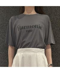 R-ISM/【接触冷感】シアーロゴTシャツ【Harmonic Flow】/508320127