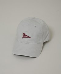 NANO universe/CORNELL UNIVERSITY/CORNELL UNV TWILL WASHED CAP/507969951