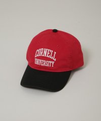 NANO universe/CORNELL UNIVERSITY/CN USC WASHED 2TONE CAP/507969952