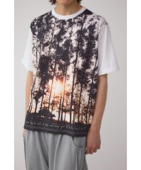 AZUL by moussy/リアルランドスケープTシャツ/508321326