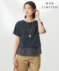 J.PRESS LADIES/【WEB限定カラーあり・洗える】レースドッキング カットソー/508327754