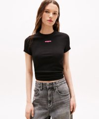TOMMY HILFIGER/トミー ヒルフィガー TOMMY HILFIGER スリムスプリクトラベルショートスリーブTシャツ/508327541