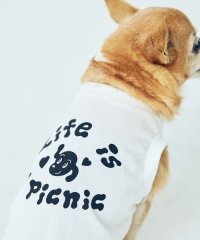 ROPE PICNIC PASSAGE/【Chocomoo×ROPE' PICNIC】【DOG】【接触冷感】ロゴTシャツ/508335335
