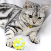 SneepDip/スニープディップ SneepDip 【p030】ペットポンポンベルボール【返品不可商品】/508337038
